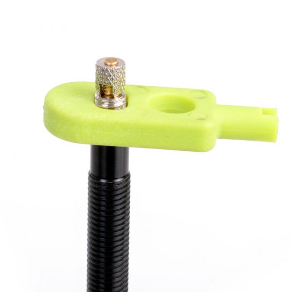 Halo tubeless valve with removal tool