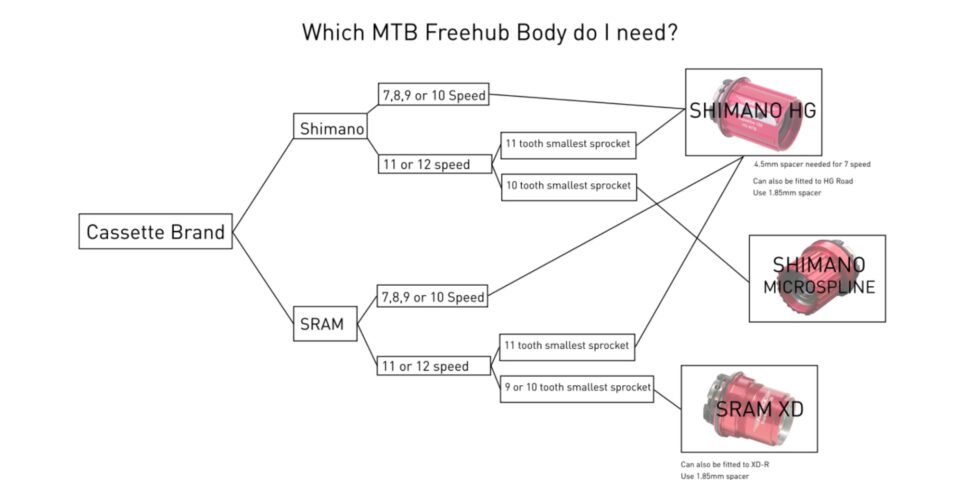 MTB freehub